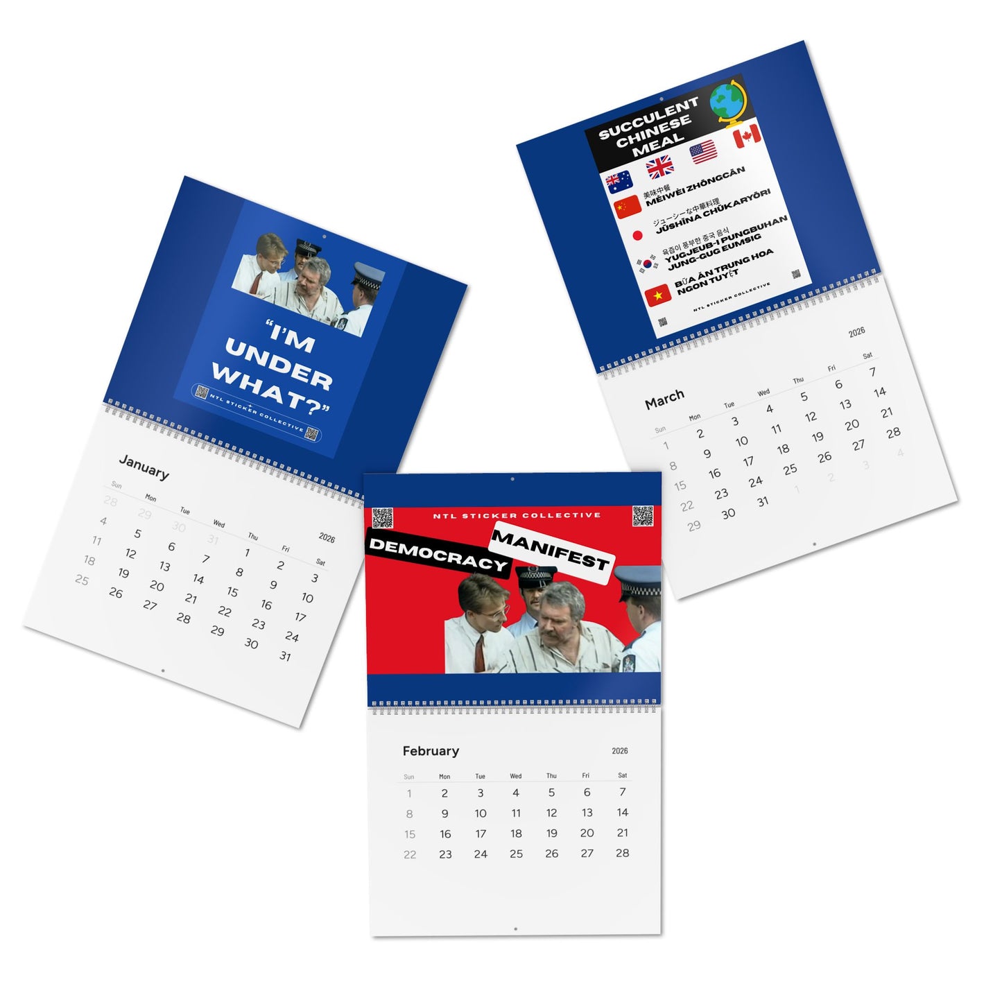 NEW | Democracy Manifest 2026 Wall Calendar